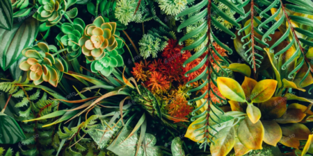 Web de Noticias para Empresas