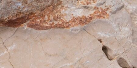 Web de Noticias para Empresas