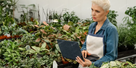 Web de Noticias para Empresas