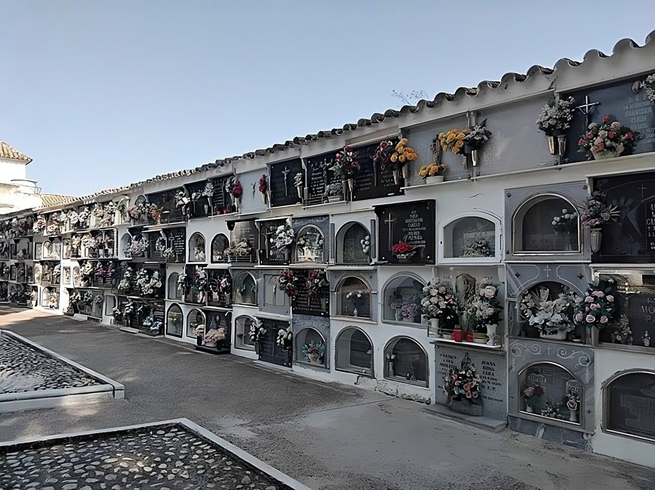 mundamortis monturque