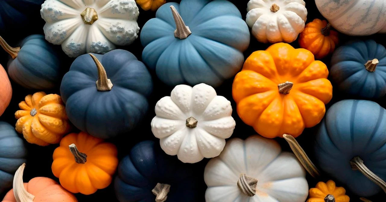 Composición de calabazas de diferentes colores y tamaños sobre fondo oscuro.